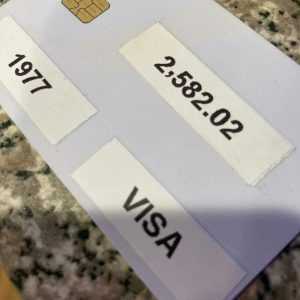 2200$ – 2700$ balanced visa cloned + 1-2 day FedEx shipping